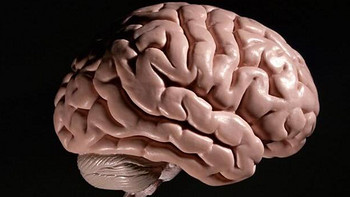 人的大脑，对比华为AI芯片昇腾910B，性能仅为3%？
