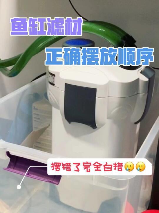 鱼缸过滤滤材摆放顺序|摆错了全部白搭🥲