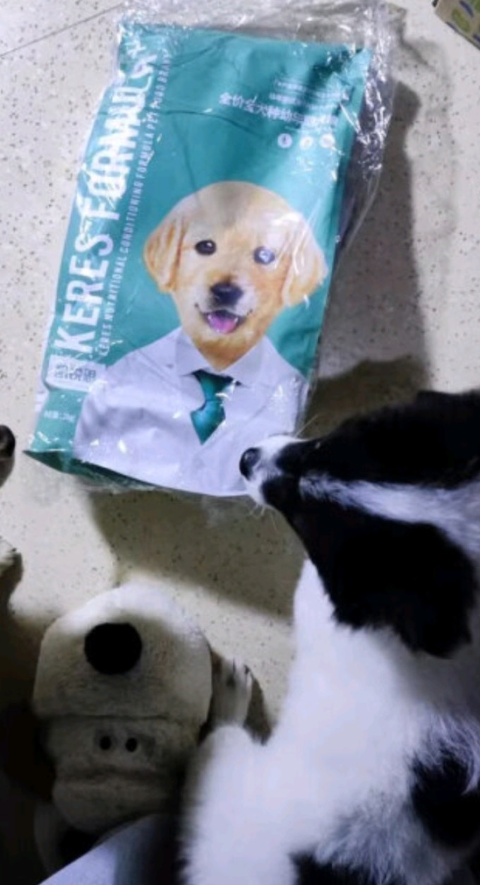 狗狗干粮