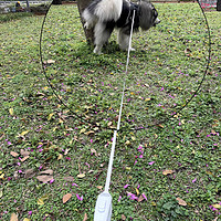狗狗牵引绳遛狗绳子自动可伸缩防挣脱中小型犬泰迪柯基猫宠物用品