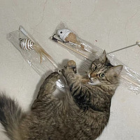 猫玩具逗猫棒猫咪自嗨解闷小老鼠带铃铛耐咬猫猫小猫消耗体力用品