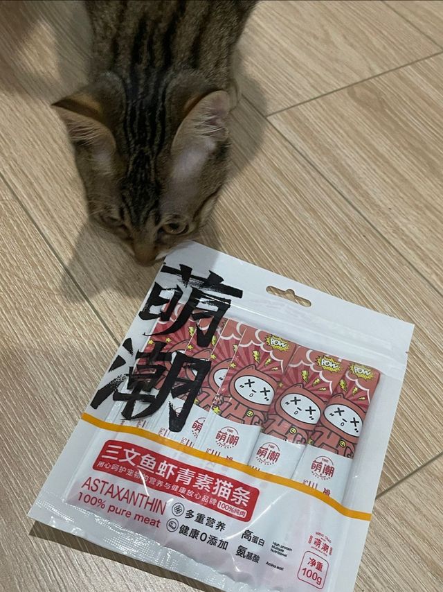 萌宠新品猫条小猫超爱