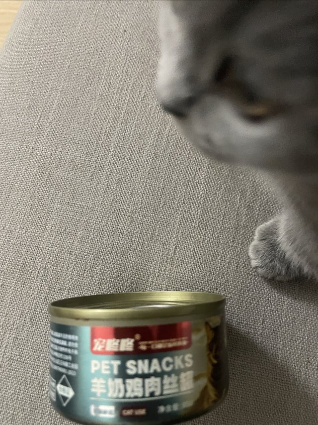 猫咪爱吃的罐罐汤
