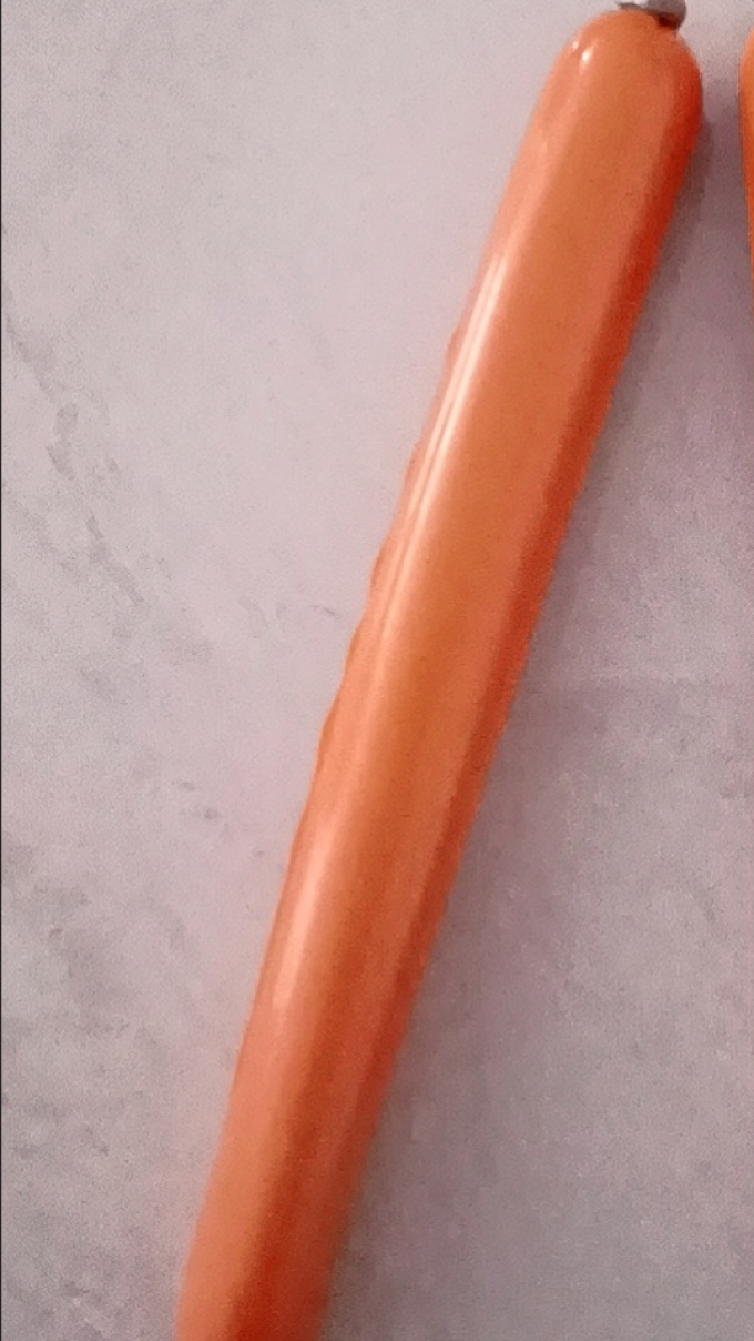 城市理享猫犬通用零食