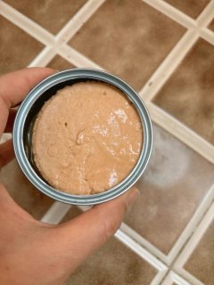 猫咪爱吃的猫主食罐头