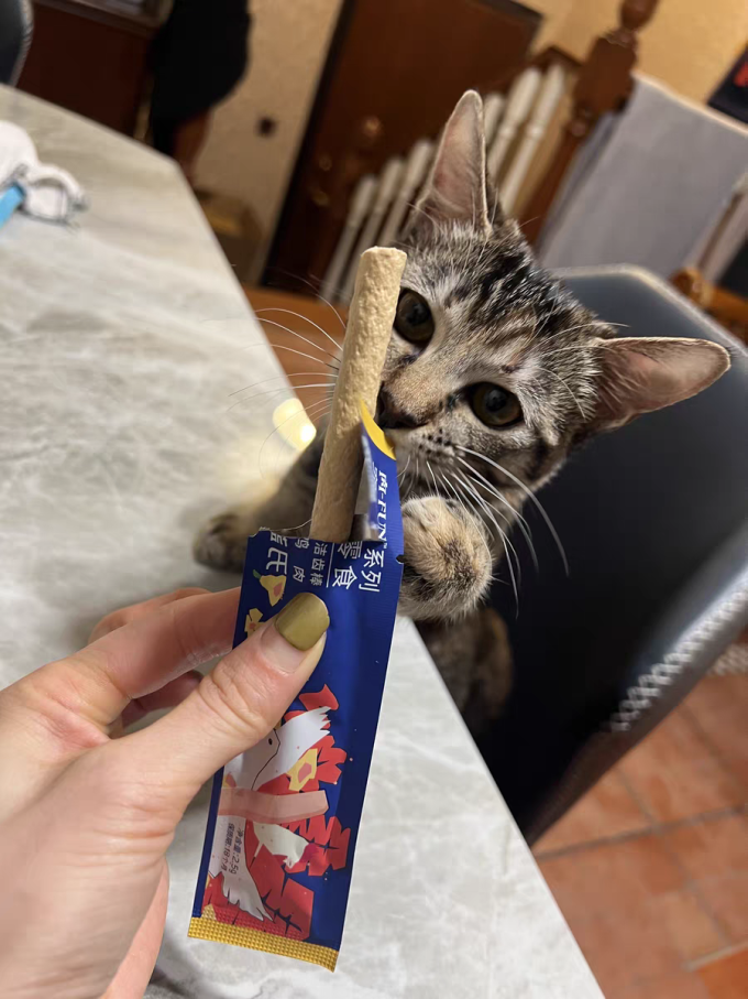 蓝氏猫零食