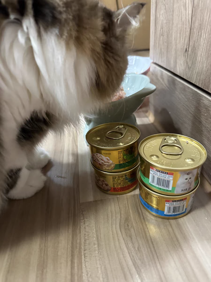 珍致猫咪湿粮/罐头