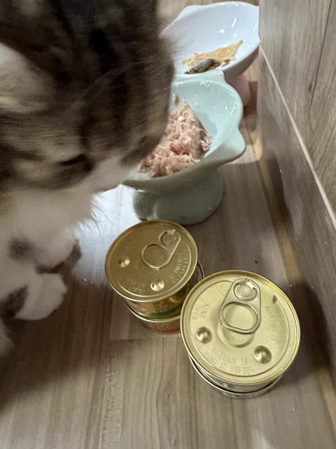 珍致猫咪湿粮/罐头
