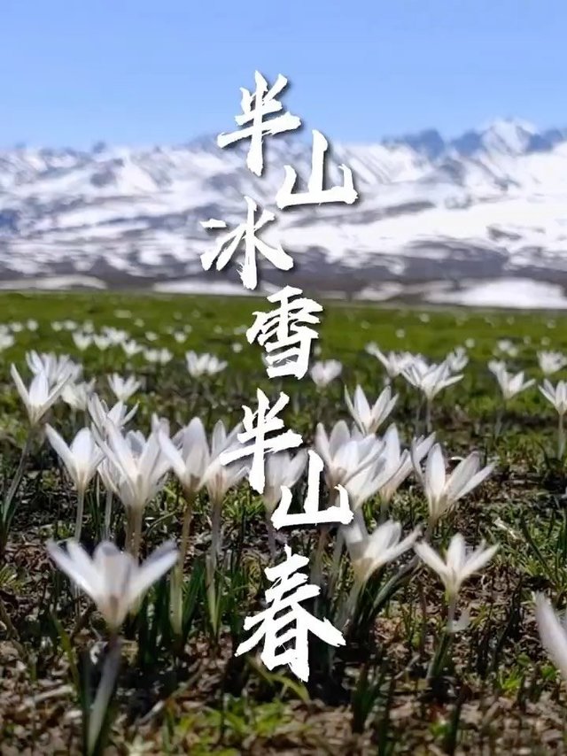 那拉提的春色奇缘——半山冰雪半山春