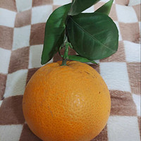 多吃橙子补充维生素C