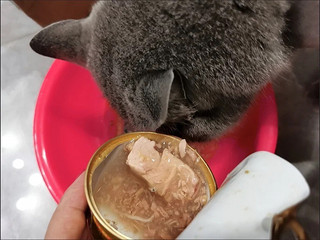 ￼￼麦富迪 猫罐头主食罐猫条 幼猫barf霸弗全价湿粮冻干猫零食 鲜鸡肉85g