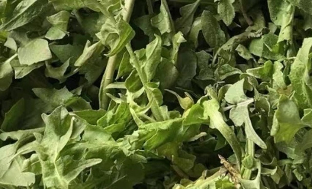 荠菜：春日的野味盛宴，绿色的健康宝藏