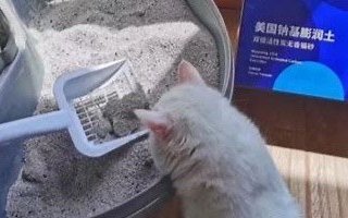 膨润土猫砂推荐
