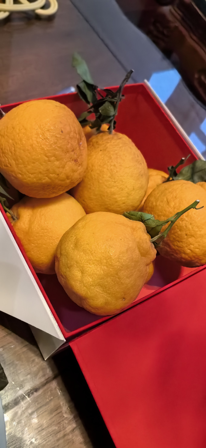 珞宴新鲜水果
