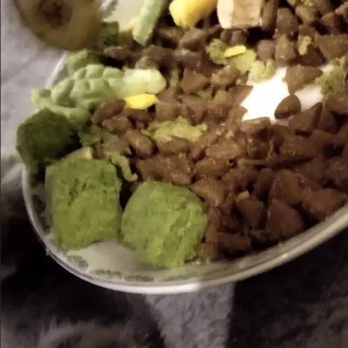 俘获猫零食