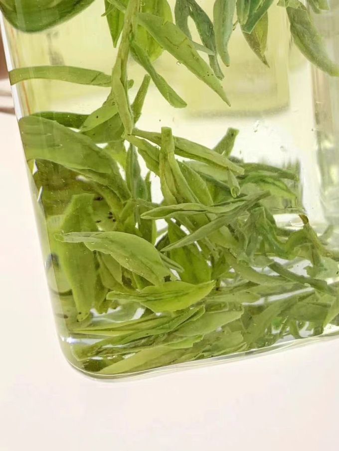 皇茅茶类