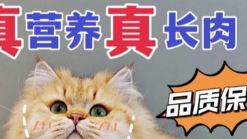 猫粮挑花眼？这款进口粮一定不要错过！