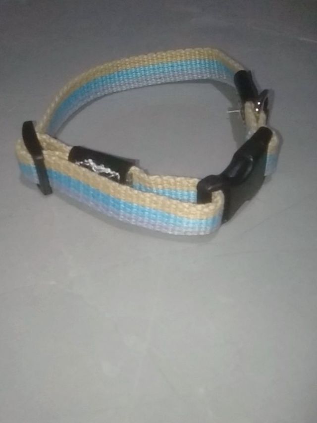 狗狗项圈，你选对了吗？