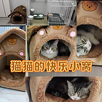 小猫咪的快乐星球