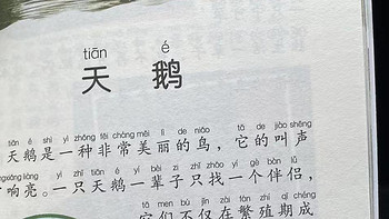 中国孩子的百科全书之天鹅