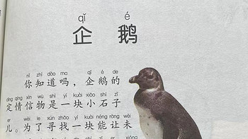 中国孩子的百科全书之企鹅