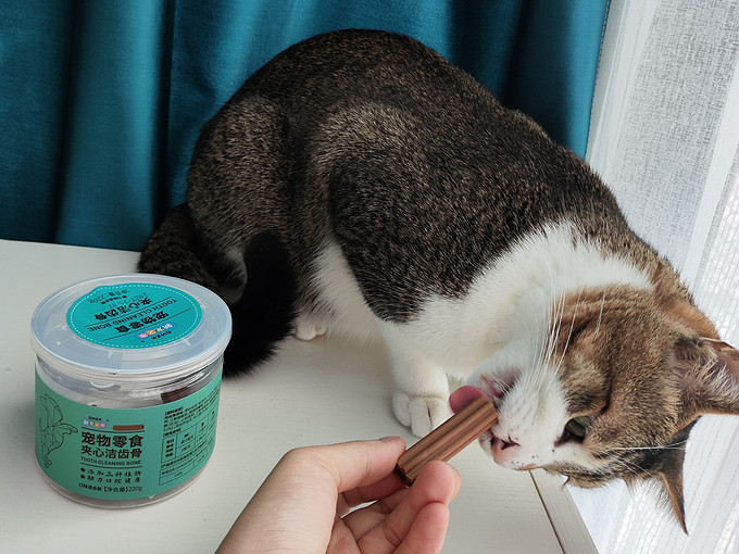 麦富迪猫咪磨牙洁齿