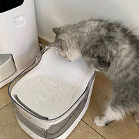 宠咕咕（petgugu）猫咪饮水机 APP智能循环过滤流动活水 宠物狗狗猫咪自动饮水器