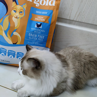 SolidGold金素猫粮幼猫进口金装素力高成猫高蛋白鲜肉猫粮12/15磅