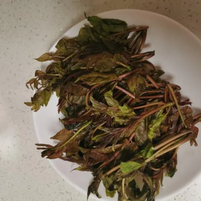 山胖子蔬菜