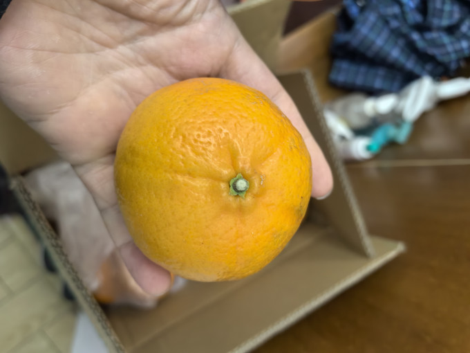 蜜企味新鲜水果