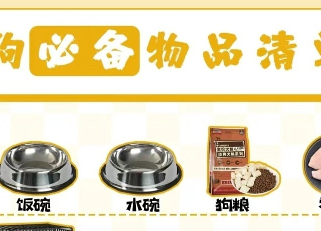 养狗狗要学会的几件小事