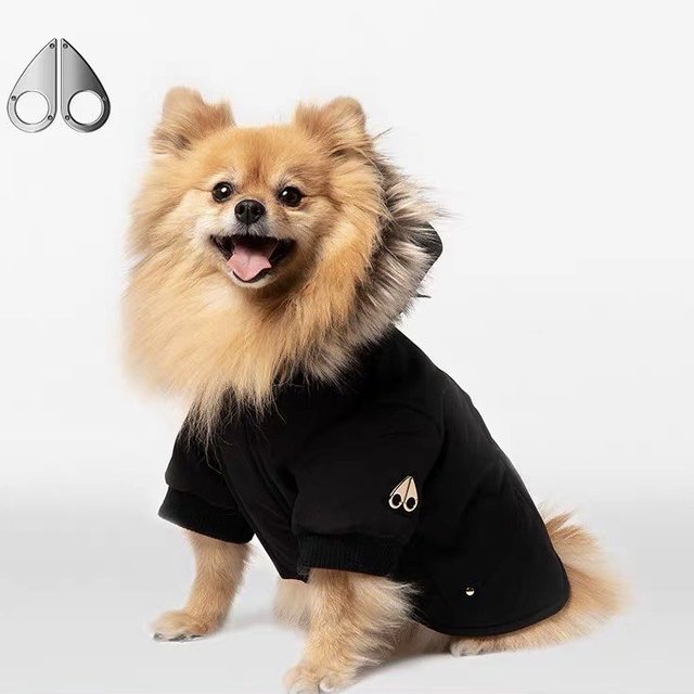 MOOSE KNUCKLES POOCH PARKA GOLD：守护宠物的温暖之选