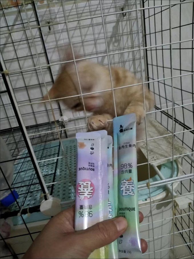 漂亮小宠训犬零食