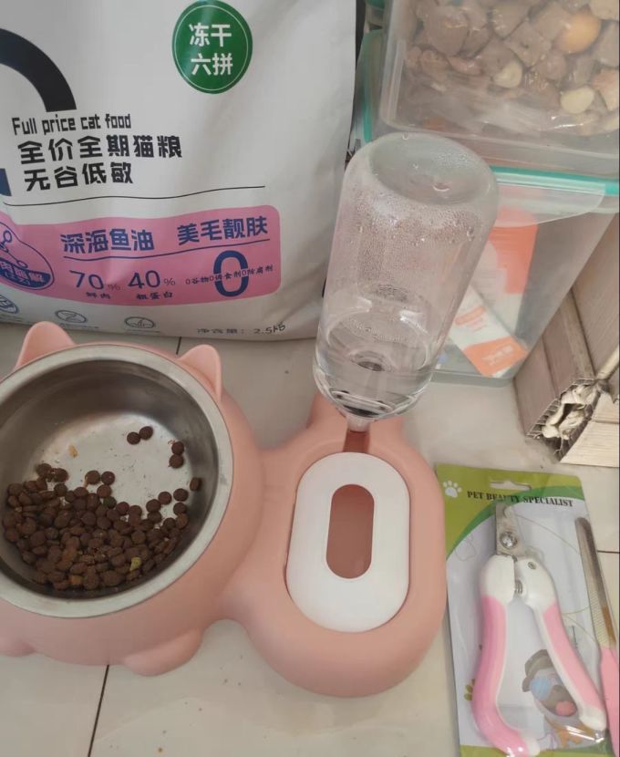 梦想猫宠物食具水具