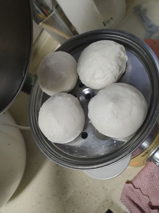 春天的早晨，用香甜的奶黄包当早餐还是很不错的