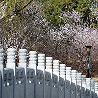 有一说二 篇七十九：一镜走天下，春天休闲漫步北京朝阳公园的惊喜