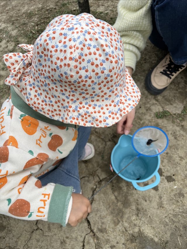 小宝宝捞蝌蚪