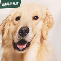 网易严选天成中大型犬狗粮：专为狗狗健康打造的健骨美食