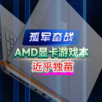AMD显卡游戏本国内近乎独苗？玄派玄机星2024