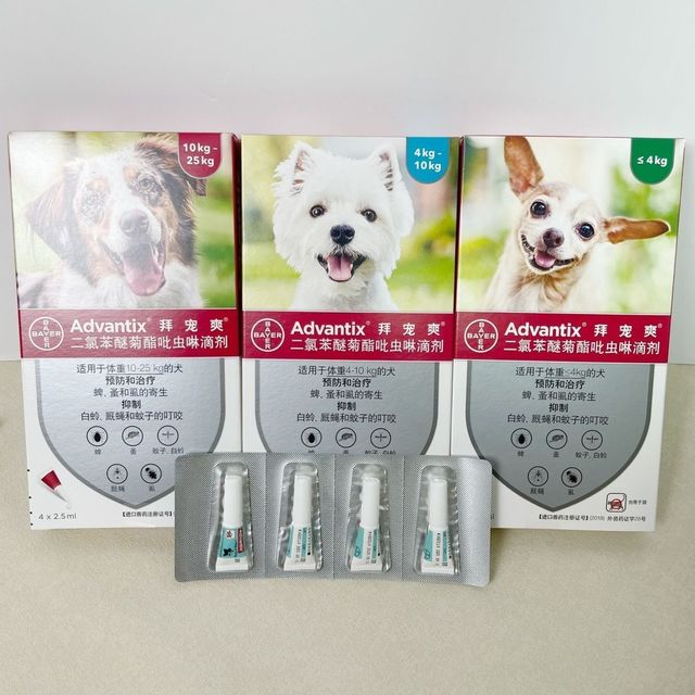 狗狗和蚊虫说拜拜，只需一个拜宠爽