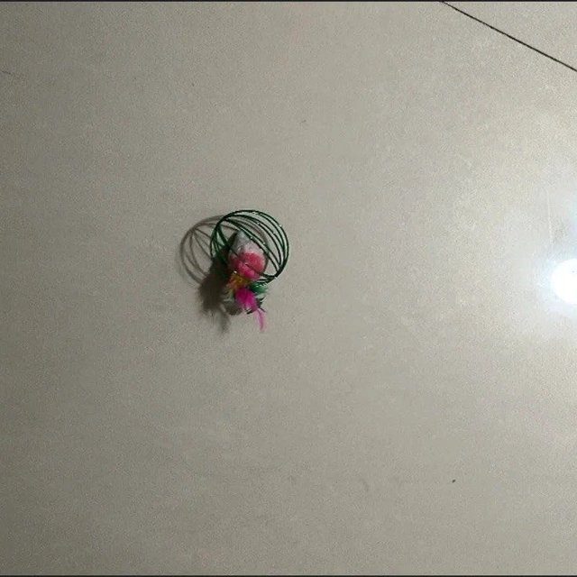 笼中鼠猫玩具