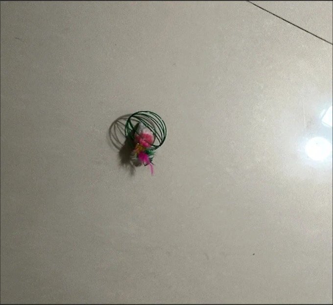 不倒翁其他猫咪玩具