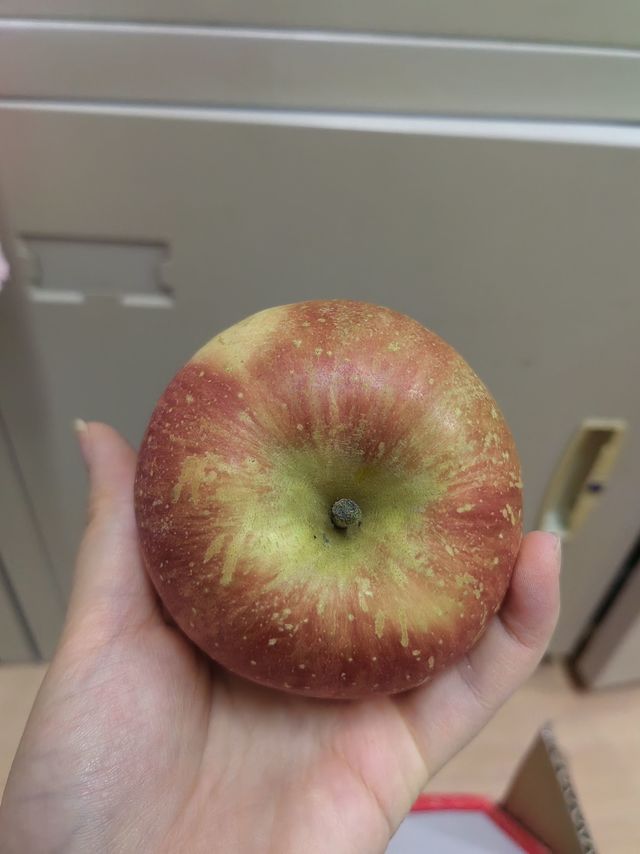 每天一苹果～