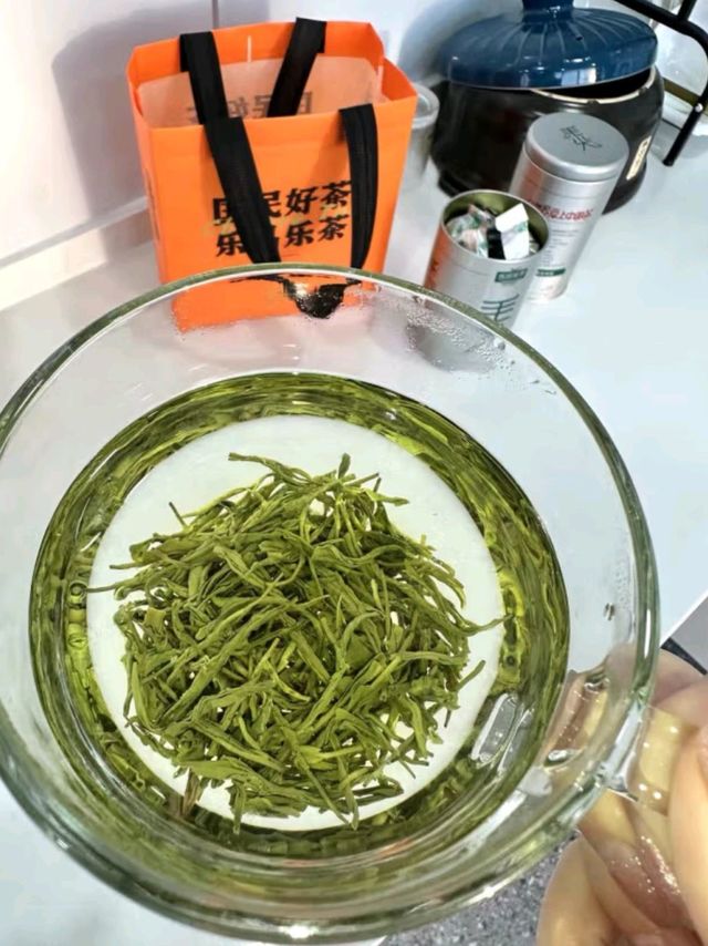 今天上班喝碧螺春