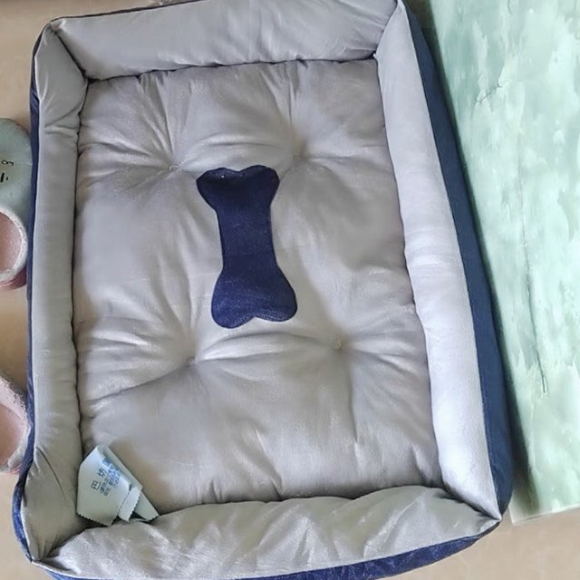 狗窝很温暖