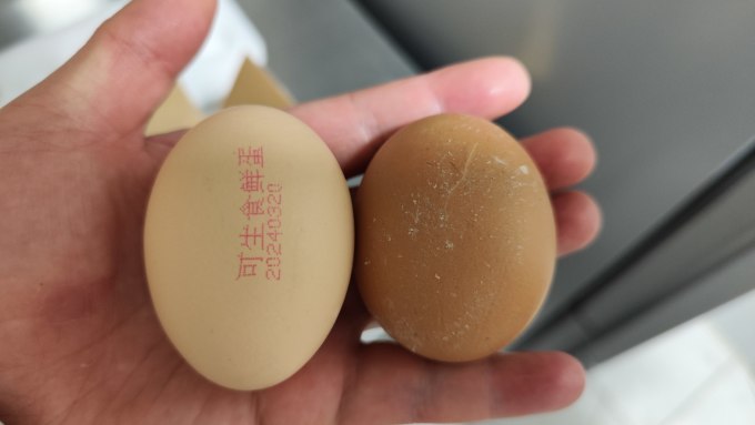 牧族蛋类