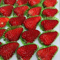 丹东草莓🍓🍓