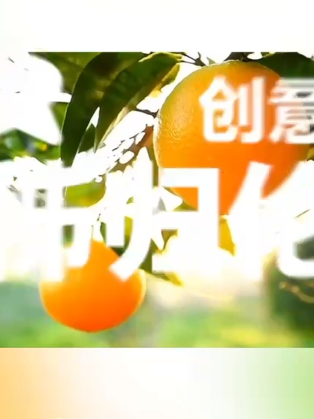 春天吃橙子，只有秭归伦晚！