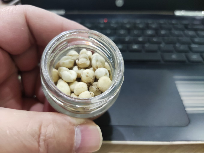 永利佳南北干货