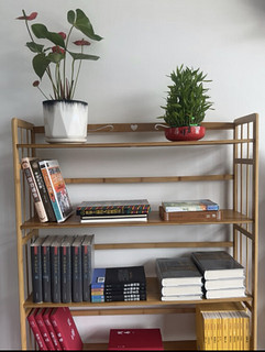 家里书📖太多，怎么能少得了一款特别能装的书架呢